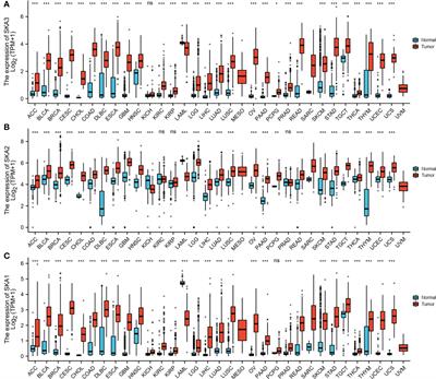 SKA1/2/3 is a biomarker of poor prognosis in human hepatocellular carcinoma